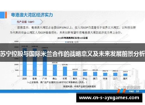 苏宁控股与国际米兰合作的战略意义及未来发展前景分析