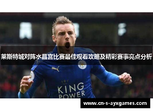 莱斯特城对阵水晶宫比赛最佳观看攻略及精彩赛事亮点分析
