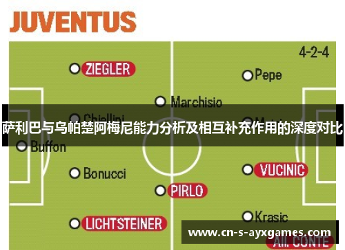 萨利巴与乌帕楚阿梅尼能力分析及相互补充作用的深度对比