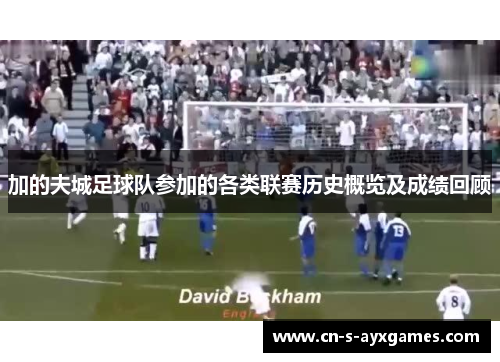 加的夫城足球队参加的各类联赛历史概览及成绩回顾