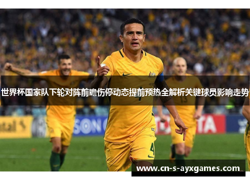 世界杯国家队下轮对阵前瞻伤停动态提前预热全解析关键球员影响走势
